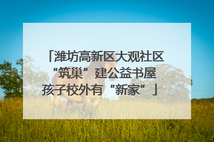 潍坊高新区大观社区“筑巢”建公益书屋 孩子校外有“新家”