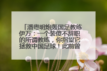潘粤明炮轰国足教练伊万：一个装傻不辞职的所谓教练，你指望它拯救中国足球！此前曾多次发文评价国足
