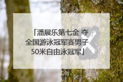 潘展乐第七金 夺全国游泳冠军赛男子50米自由泳冠军