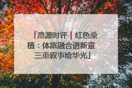 澧源时评｜红色桑植：体旅融合谱新章 三重叙事绘华光