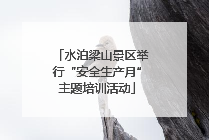 水泊梁山景区举行“安全生产月”主题培训活动