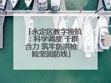 永定区教字垭镇：科学调度 干群合力 筑牢防洪抢险坚固防线