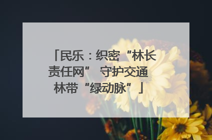 民乐：织密“林长责任网” 守护交通林带“绿动脉”
