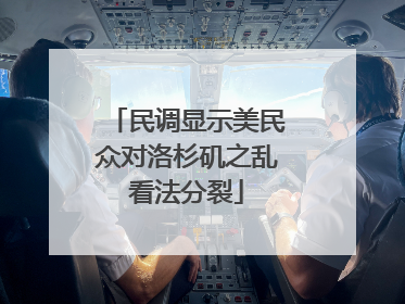 民调显示美民众对洛杉矶之乱看法分裂