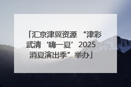 汇京津冀资源 “津彩武清‘嗨一夏’2025消夏演出季”举办