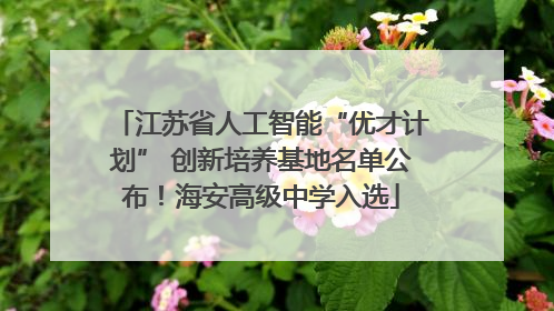 江苏省人工智能“优才计划” 创新培养基地名单公布！海安高级中学入选