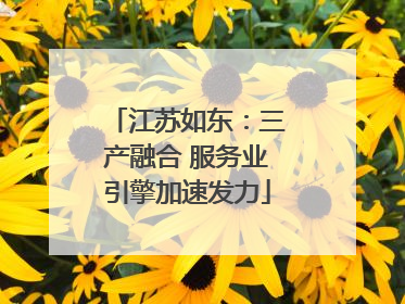 江苏如东：三产融合 服务业引擎加速发力