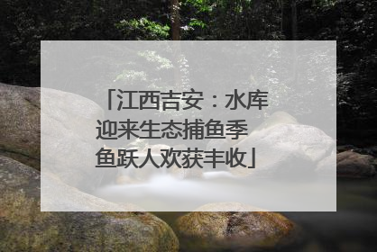 江西吉安：水库迎来生态捕鱼季 鱼跃人欢获丰收