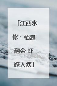 江西永修：稻浪翻金 虾跃人欢
