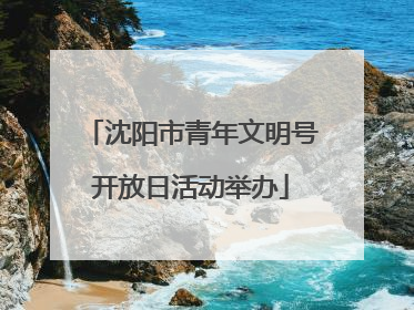 沈阳市青年文明号开放日活动举办