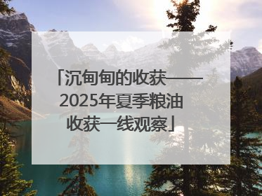 沉甸甸的收获——2025年夏季粮油收获一线观察