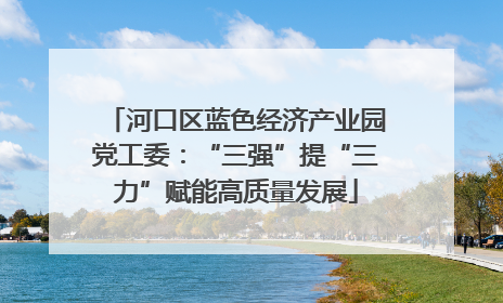 河口区蓝色经济产业园党工委：“三强”提“三力”赋能高质量发展