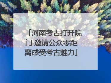 河南考古打开院门 邀请公众零距离感受考古魅力
