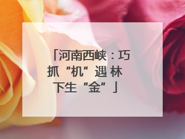 河南西峡：巧抓“机”遇 林下生“金”