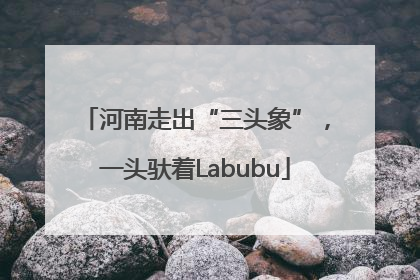 河南走出“三头象”，一头驮着Labubu