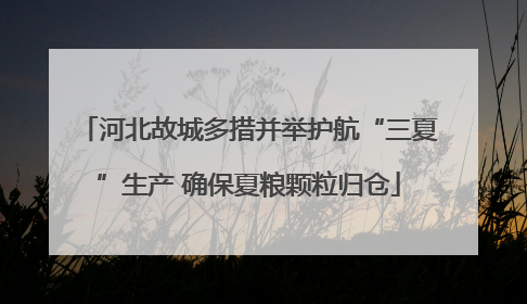 河北故城多措并举护航“三夏”生产 确保夏粮颗粒归仓
