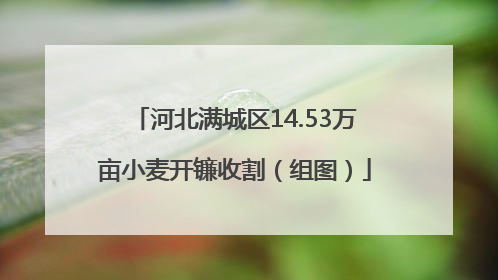 河北满城区14.53万亩小麦开镰收割（组图）