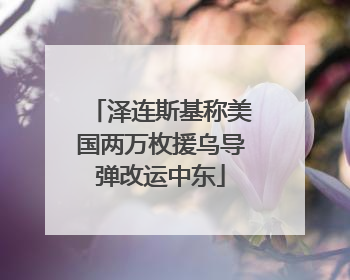 泽连斯基称美国两万枚援乌导弹改运中东