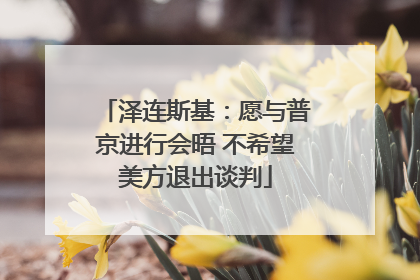 泽连斯基：愿与普京进行会晤 不希望美方退出谈判