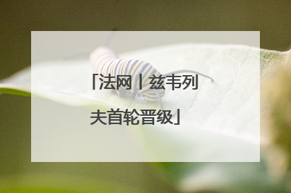 法网丨兹韦列夫首轮晋级