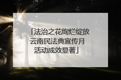 法治之花绚烂绽放 云南民法典宣传月活动成效显著