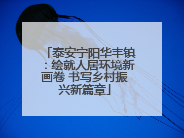 泰安宁阳华丰镇：绘就人居环境新画卷 书写乡村振兴新篇章