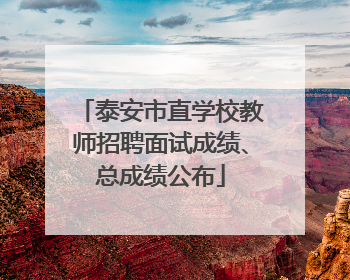 泰安市直学校教师招聘面试成绩、总成绩公布