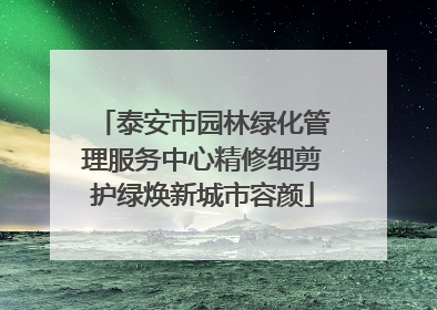 泰安市园林绿化管理服务中心精修细剪护绿焕新城市容颜