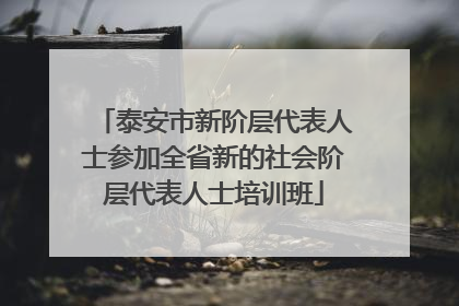 泰安市新阶层代表人士参加全省新的社会阶层代表人士培训班