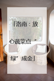 洛南：放心蔬菜点“绿”成金
