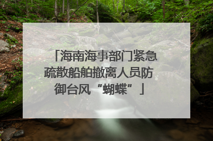 海南海事部门紧急疏散船舶撤离人员防御台风“蝴蝶”