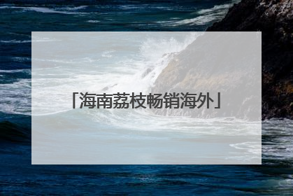 海南荔枝畅销海外