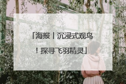 海报丨沉浸式观鸟！探寻飞羽精灵