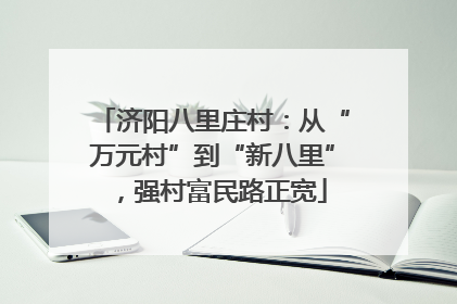 济阳八里庄村：从“万元村”到“新八里”，强村富民路正宽
