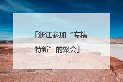 浙江参加“专精特新”的聚会