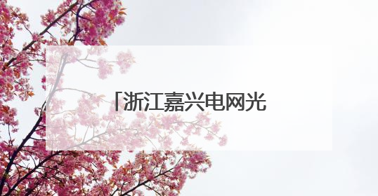 浙江嘉兴电网光伏出力持续增长