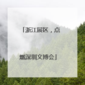 浙江展区，点燃深圳文博会
