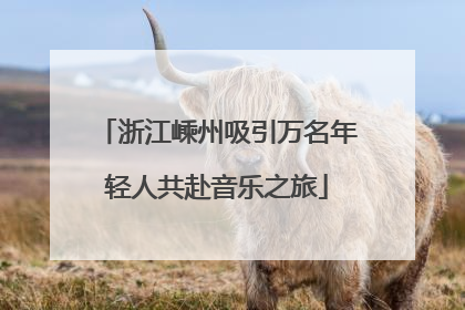浙江嵊州吸引万名年轻人共赴音乐之旅