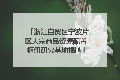 浙江自贸区宁波片区大宗商品资源配置枢纽研究基地揭牌