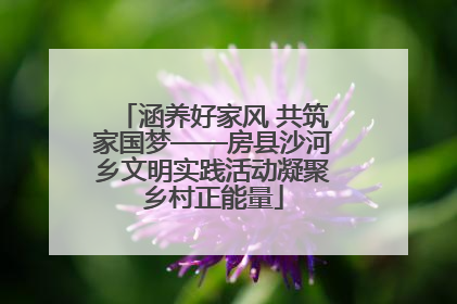 涵养好家风 共筑家国梦——房县沙河乡文明实践活动凝聚乡村正能量