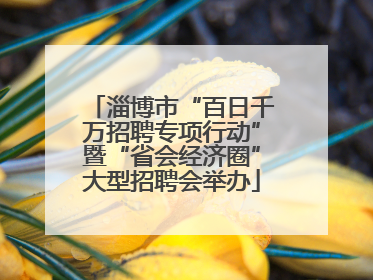 淄博市“百日千万招聘专项行动”暨“省会经济圈”大型招聘会举办