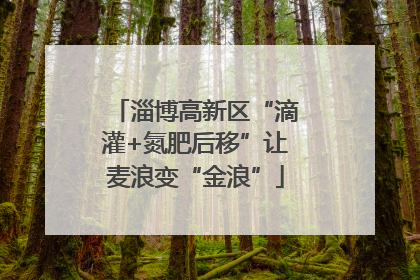 淄博高新区“滴灌+氮肥后移”让麦浪变“金浪”