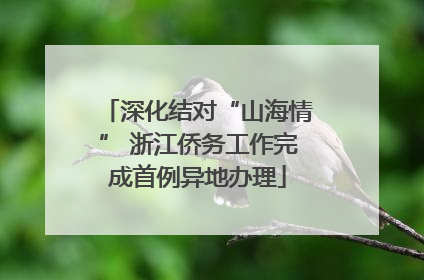 深化结对“山海情” 浙江侨务工作完成首例异地办理