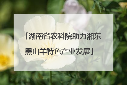 湖南省农科院助力湘东黑山羊特色产业发展