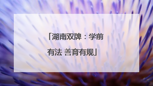 湖南双牌：学前有法 善育有规