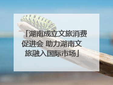 湖南成立文旅消费促进会 助力湖南文旅融入国际市场