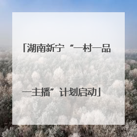 湖南新宁“一村一品一主播”计划启动