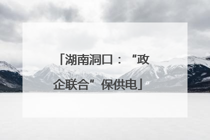 湖南洞口：“政企联合”保供电