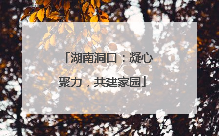 湖南洞口：凝心聚力，共建家园