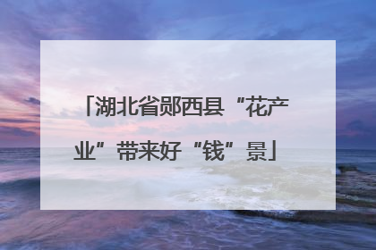 湖北省郧西县“花产业”带来好“钱”景